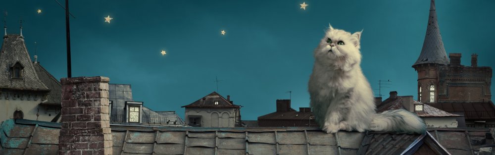 Панорама крыша кот