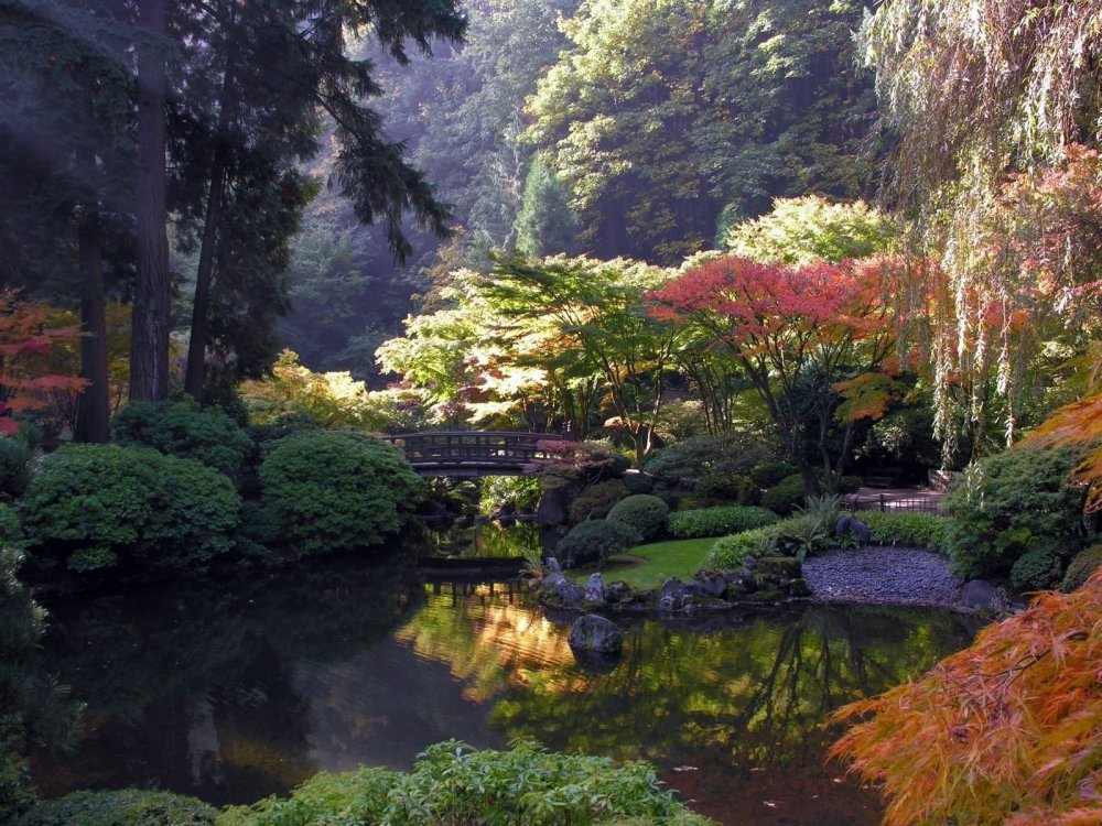 Пейзажный сад Японии