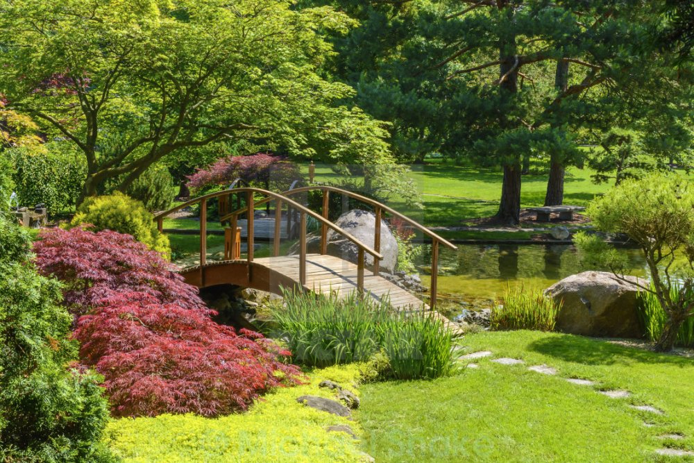Японский сад Ива парк Тюмень
