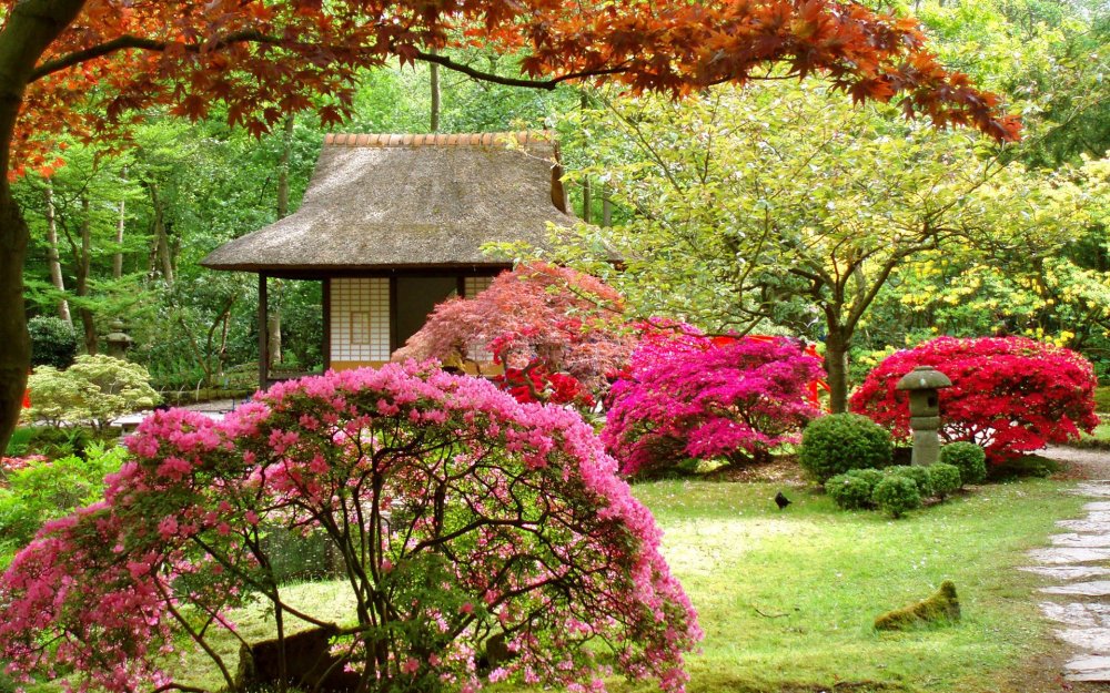 Райский сад Япония