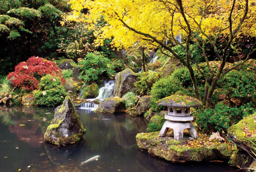 Киото Япония парк камней
