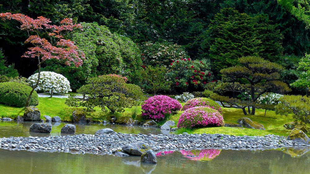 Дендра парк японский сад