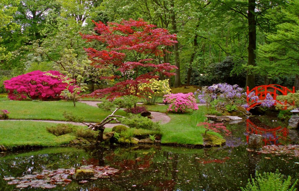 Парк при мрио японский сад