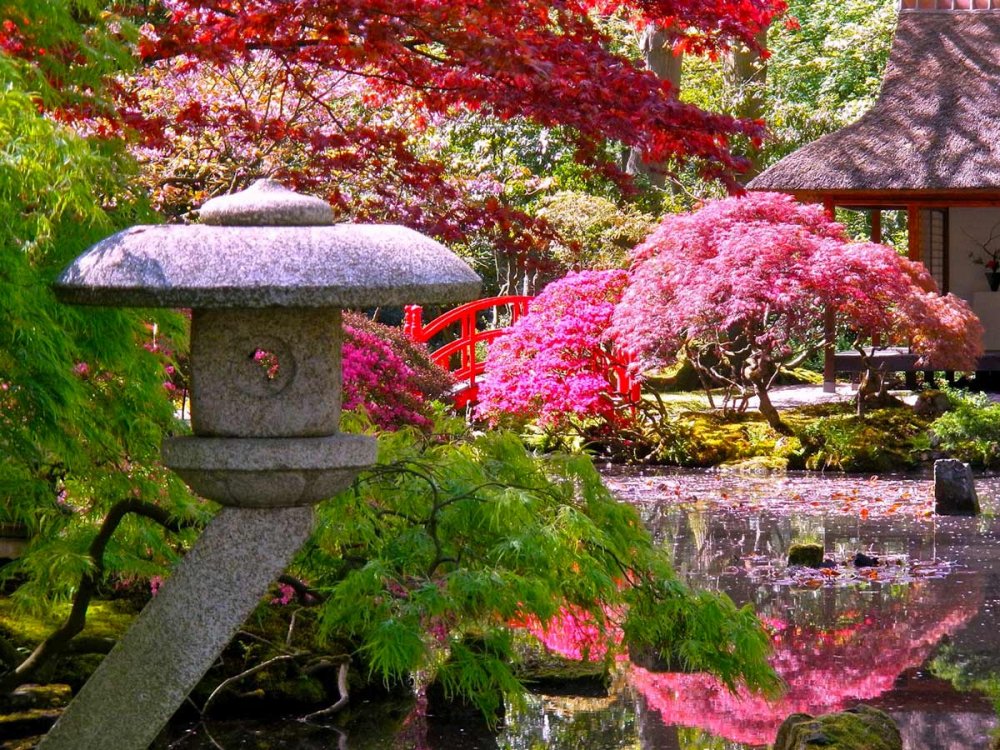Массандровский парк японский сад