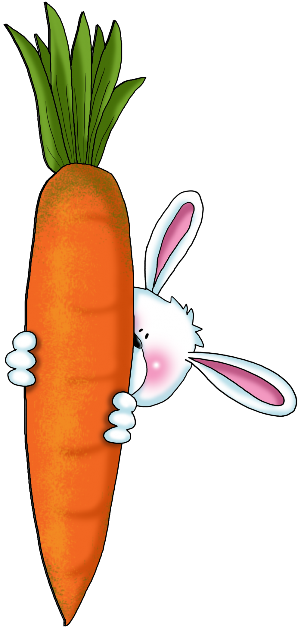 Зайкина морковка