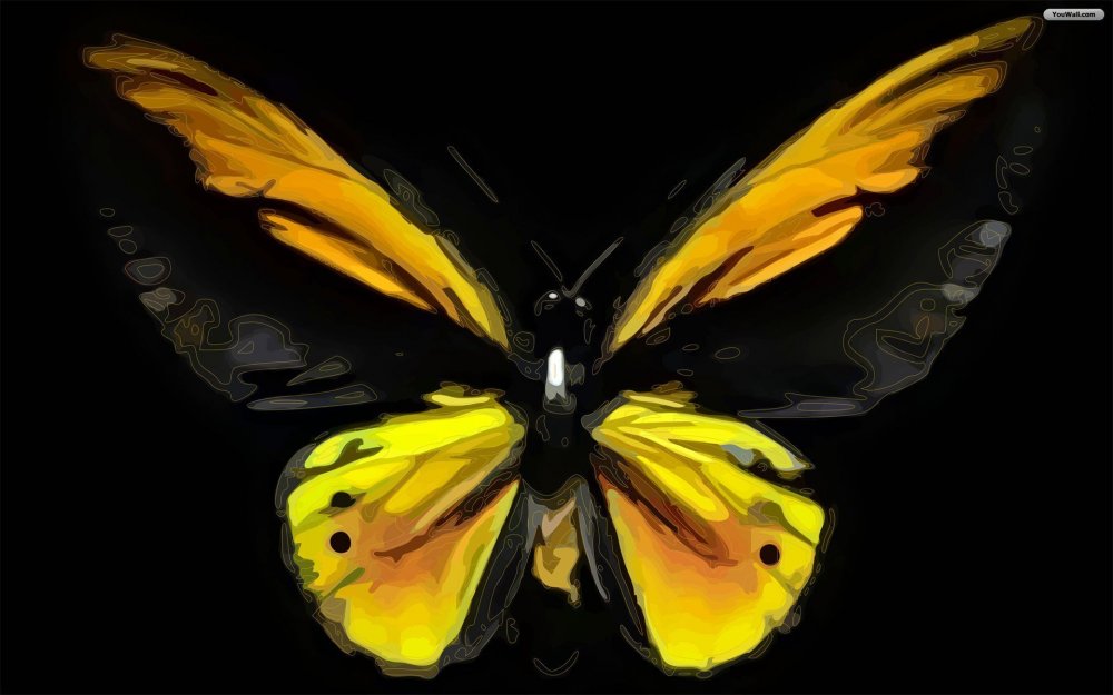 Бабочка желтая с черным