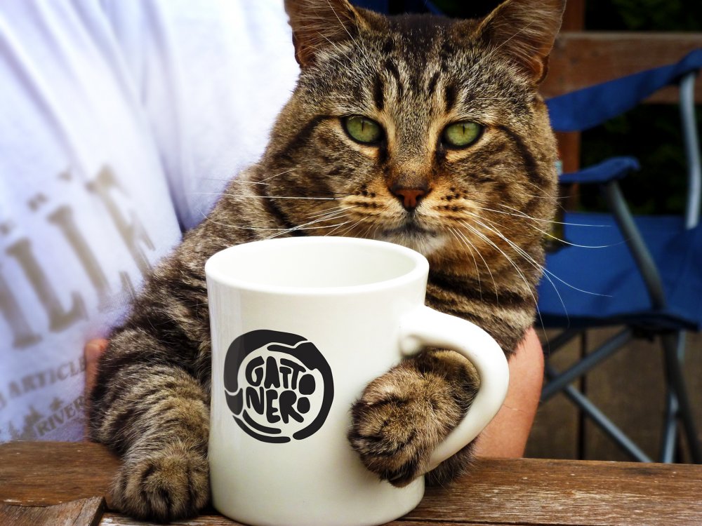 Котик с чашкой кофе