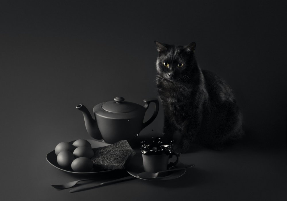 Натюрморт с черным котом