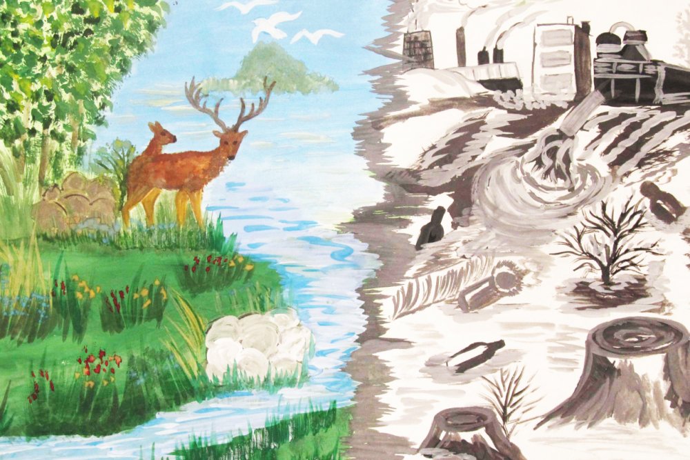 Иллюстрации на тему экологии