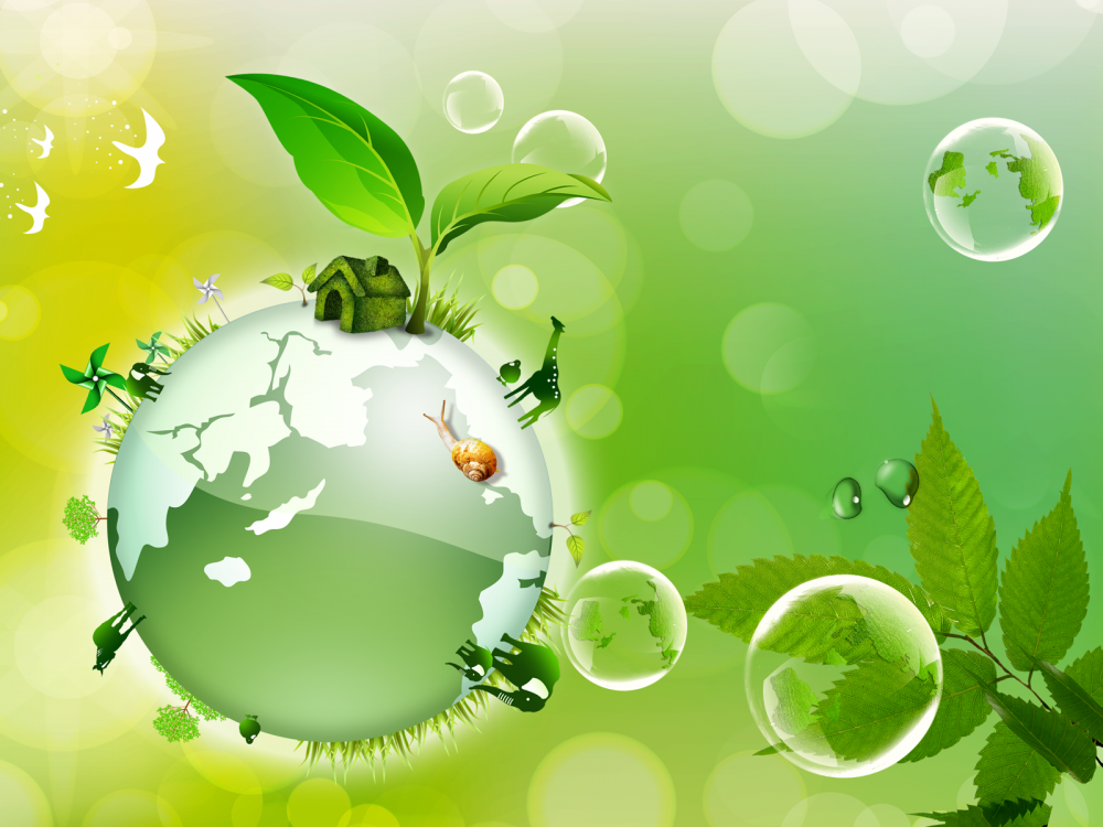 15 Апреля день экологических знаний