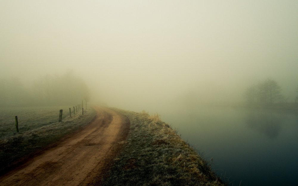 Пейзаж в тумане фильм 1988