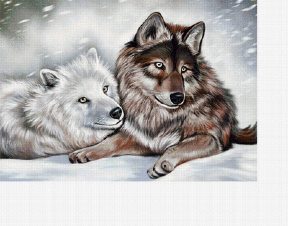Картина волк и волчица