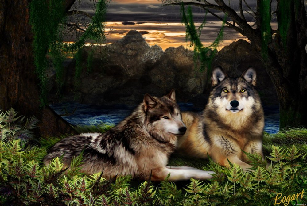 Пара Волков с волчатами