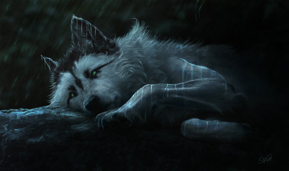Фитц и ночной волк