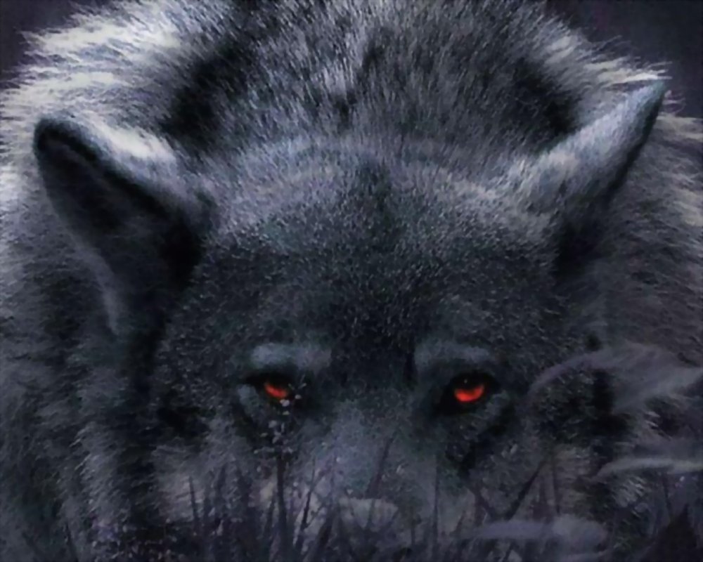 Грустный волк