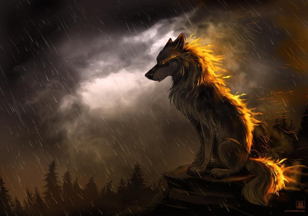 Печальный волк