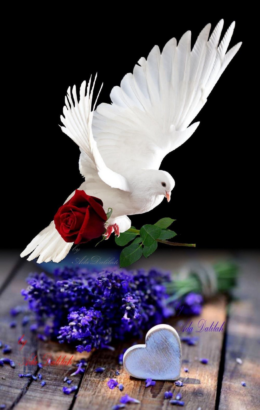 Самое красивое голубей цветами