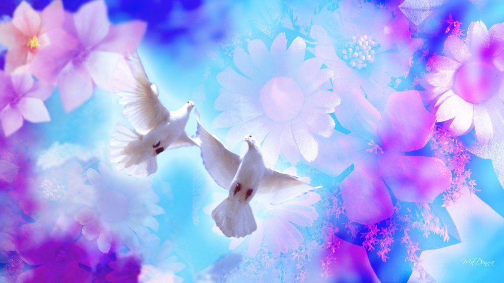 Белые голуби в цветах