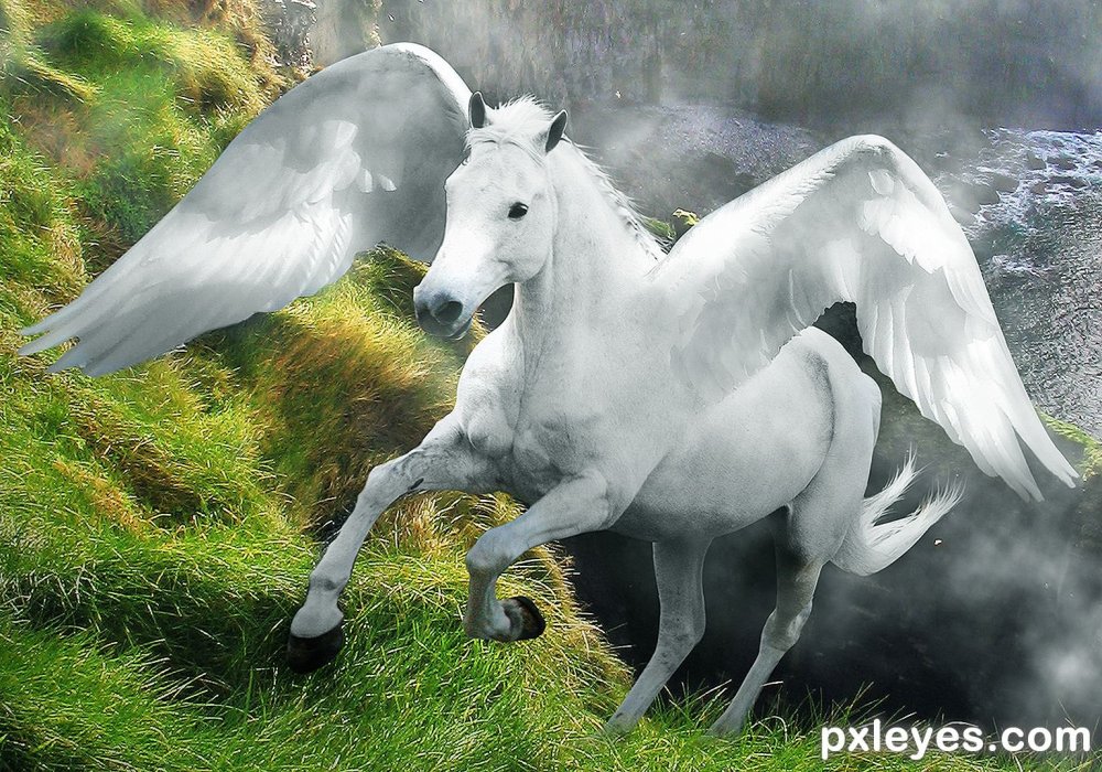 Белый конь с крыльями