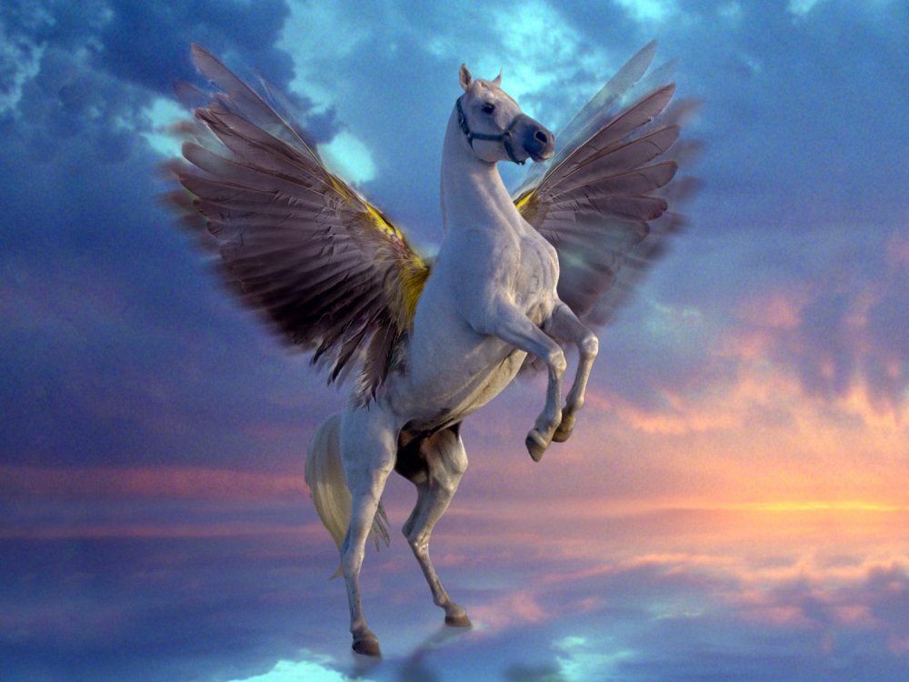 Абраксанский крылатый конь