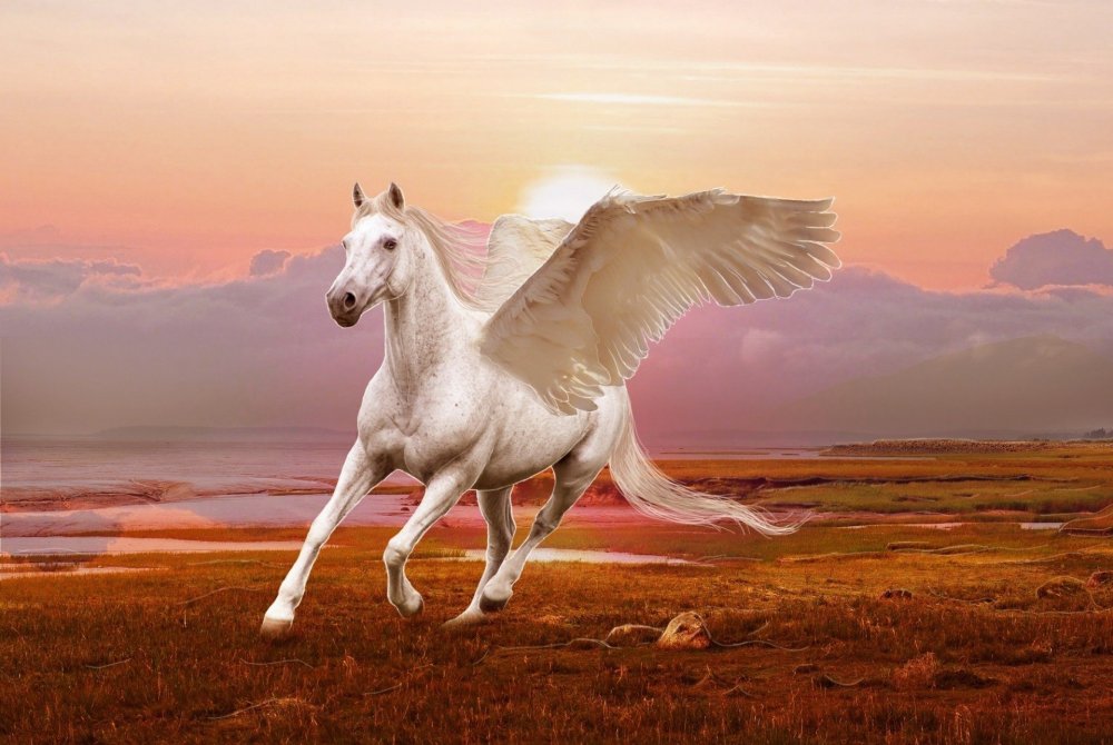 Крылатый конь Тулпар