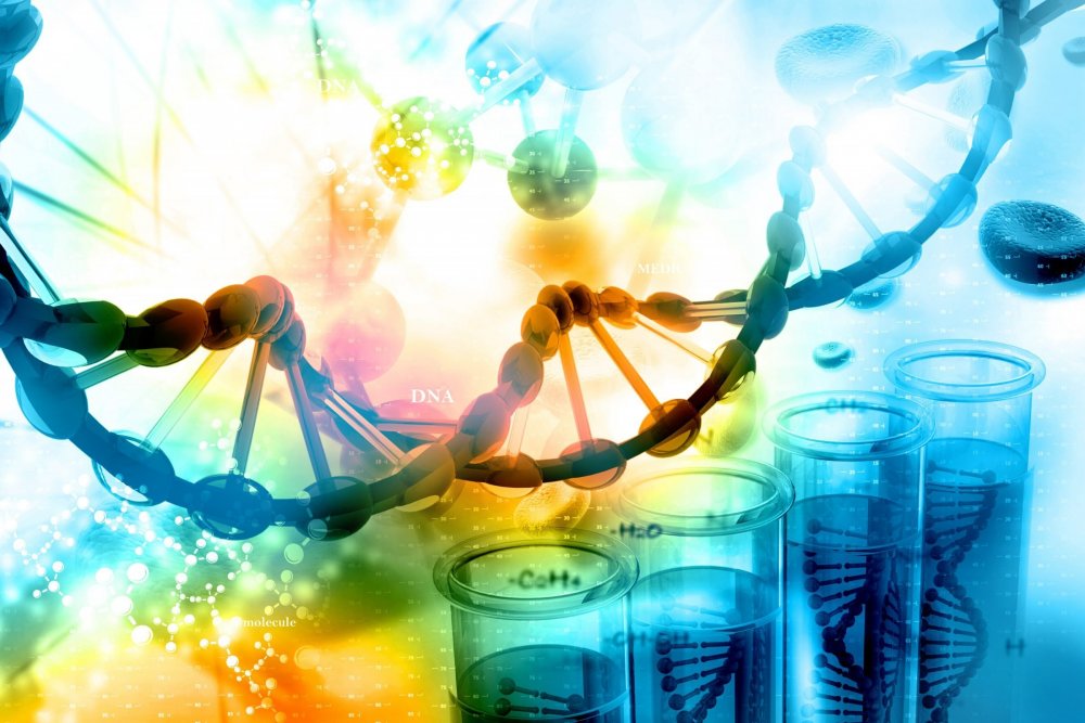 Биотехнологии ДНК
