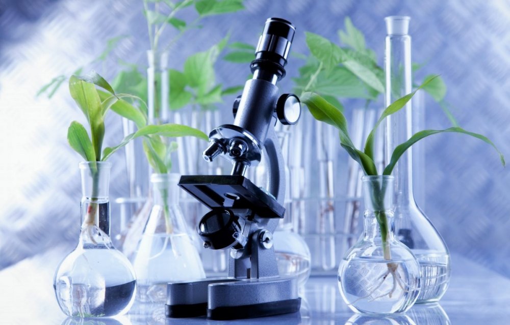 Биотехнология растений
