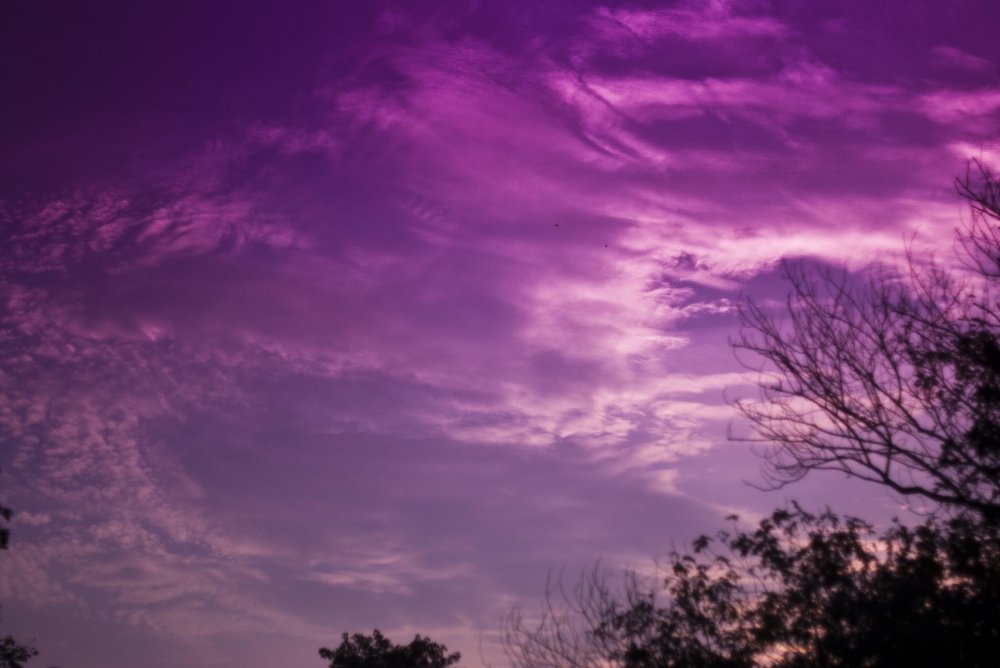 Пурпурное небо