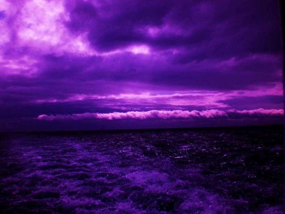 Фиолетовый тон