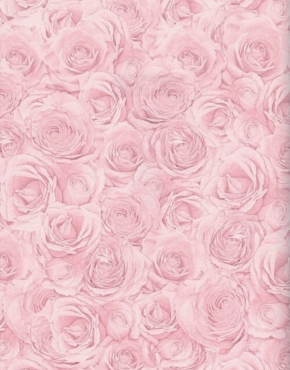 Фон в розовых тонах