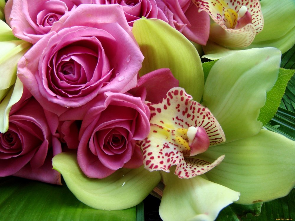 Розы и орхидеи