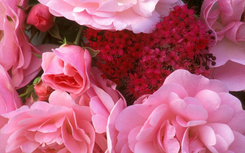 Живые цветы розовые