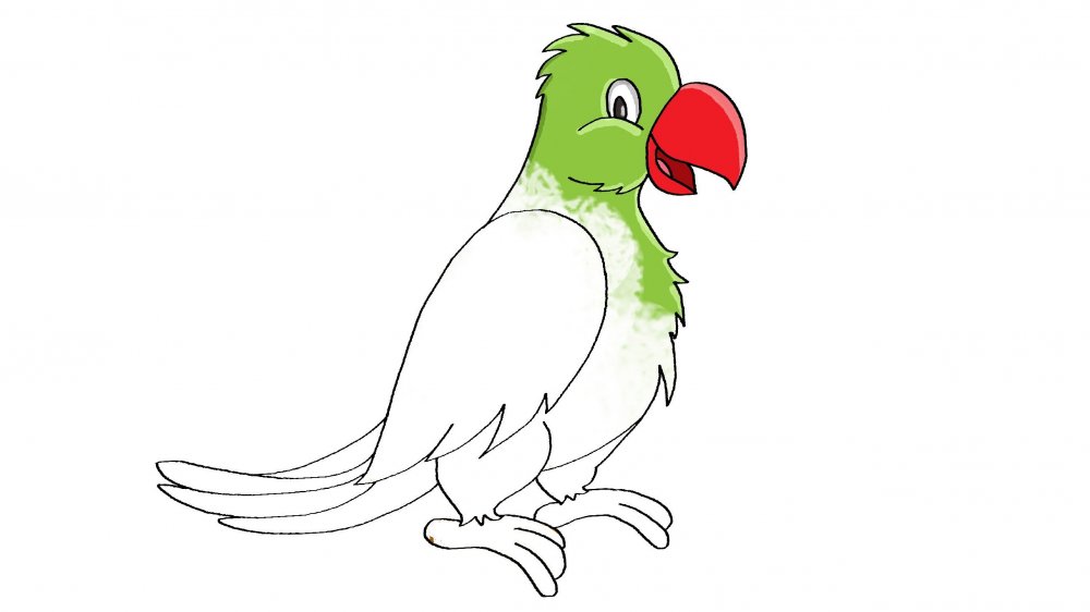 Рисунок попугая для срисовки