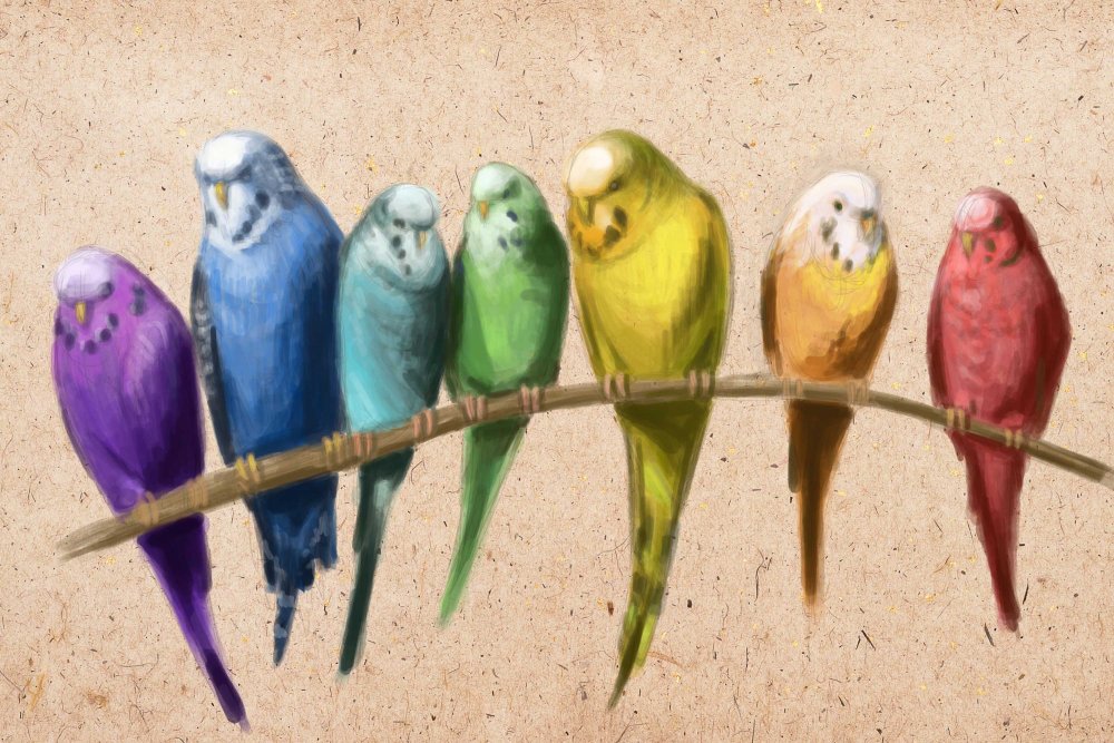 Рисунки животных и птиц