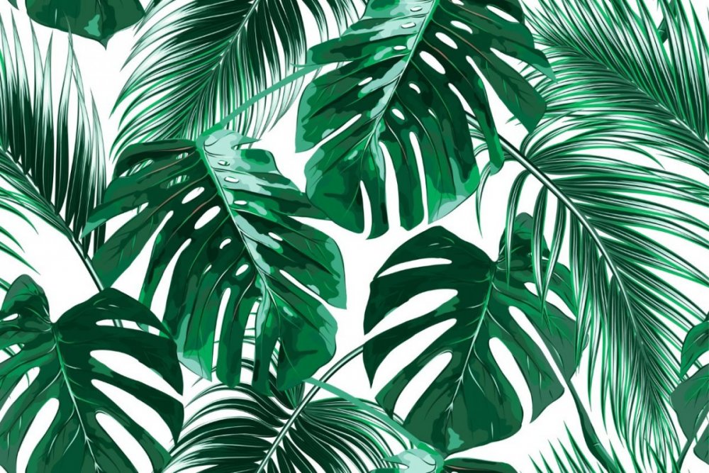 Альфреско пальмовые листы