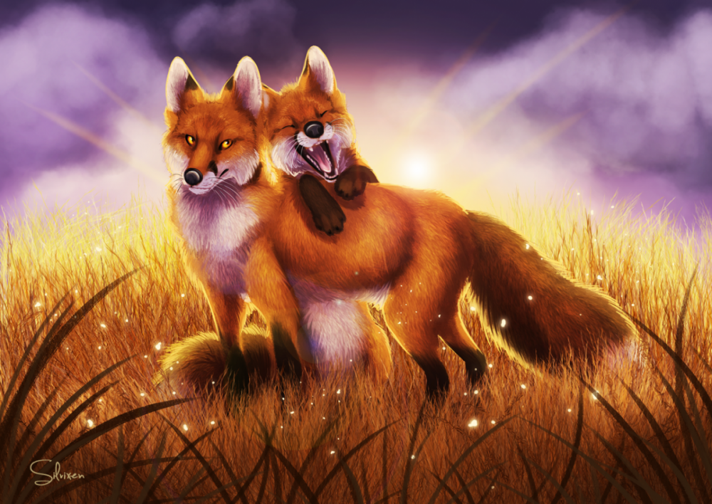 Влюбленные лисы