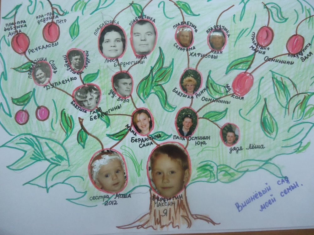 Рисование родословного дерева