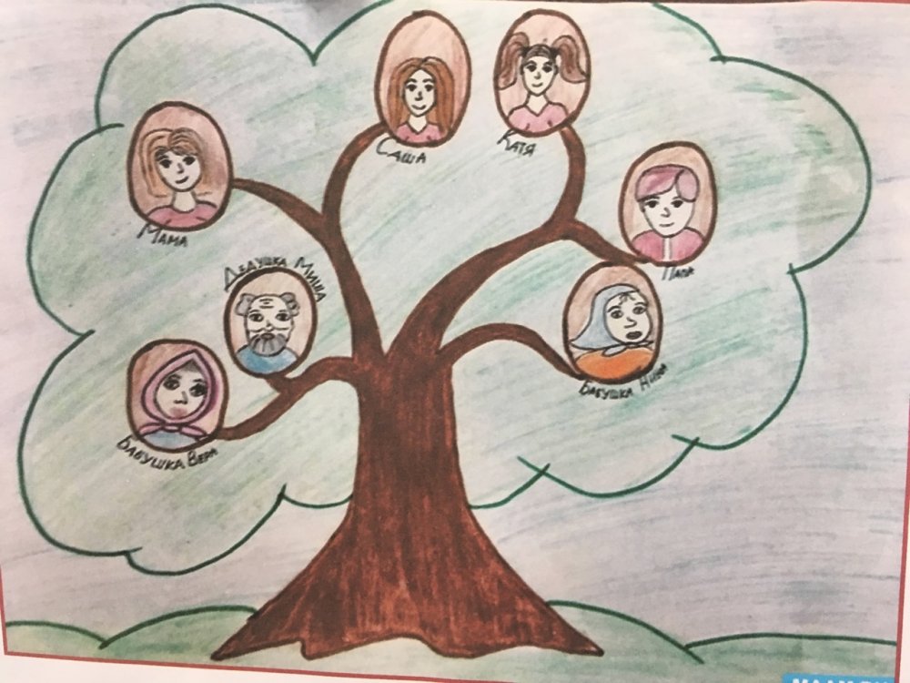 Нарисовать дерево семьи
