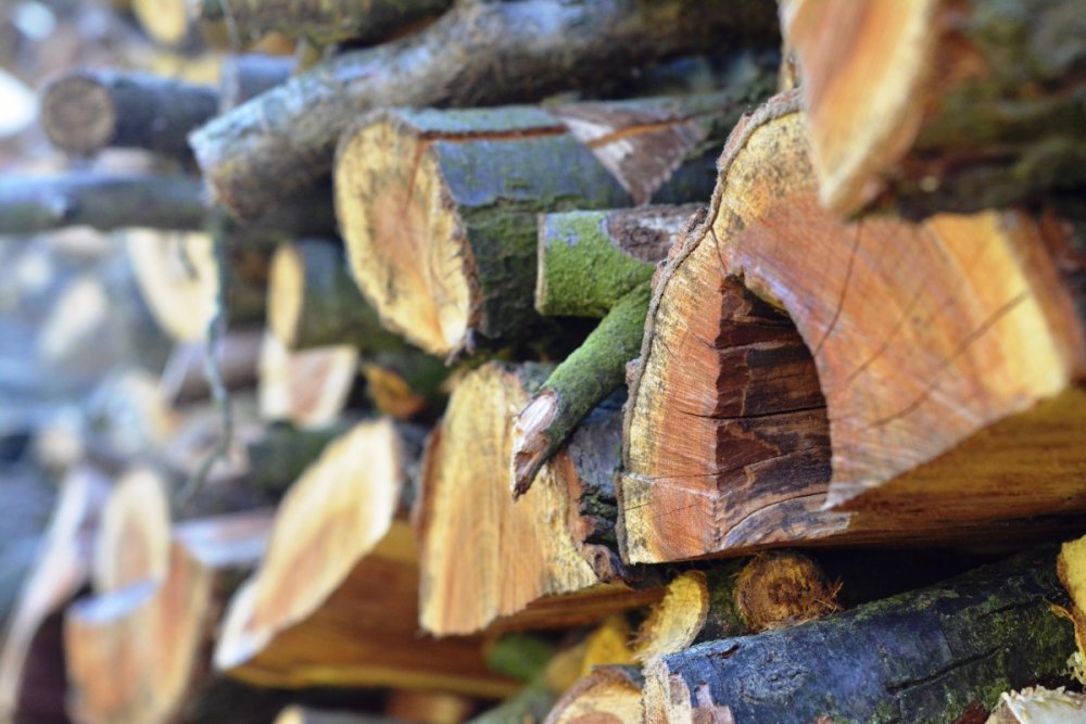 Необработанная древесина
