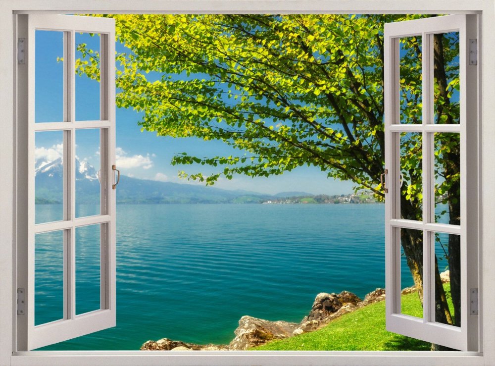 Красивая природа из окна