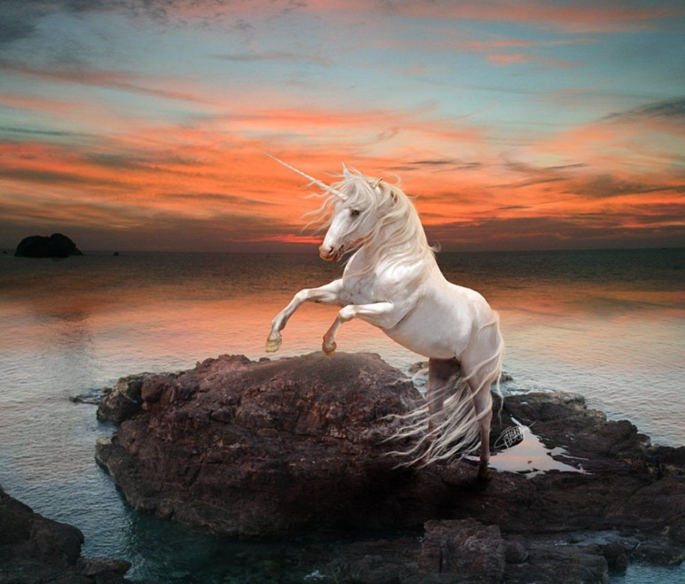 Лошадь «Единорог»