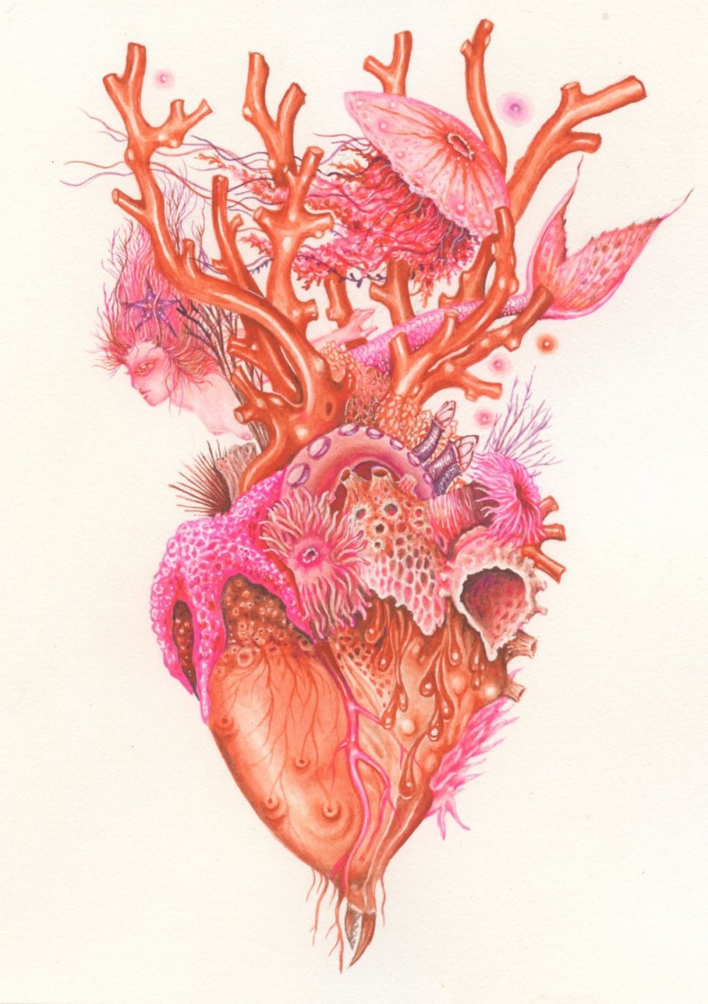 Анатомическое сердце в цветах