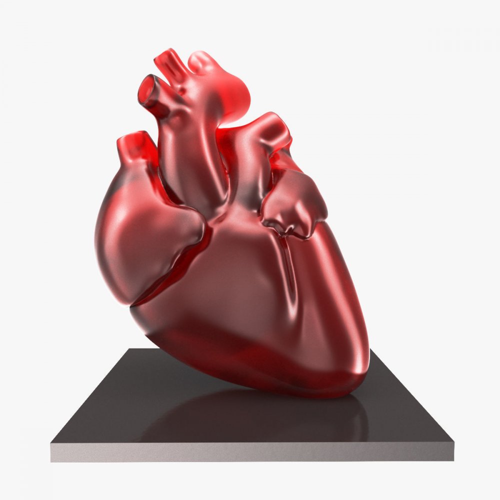 Форма человеческого сердца