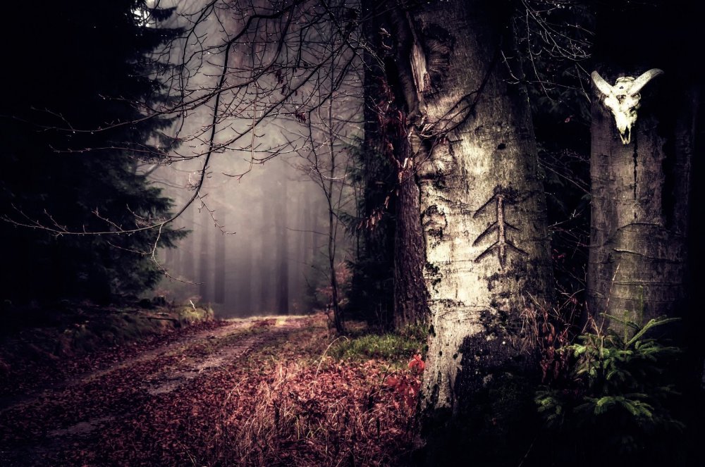 Мрачный лес