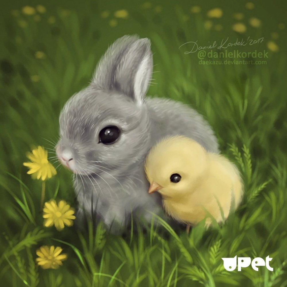 Милые Зайчата и крольчата