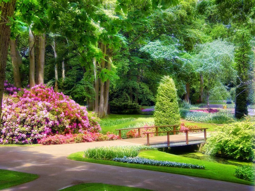 Красивый сад парк