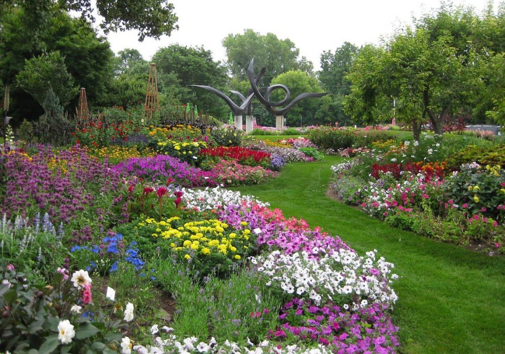 Сад с цветами