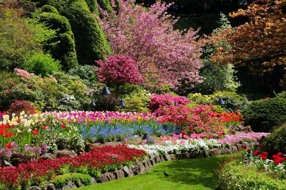 Сады Бутчартов в Канаде японский сад