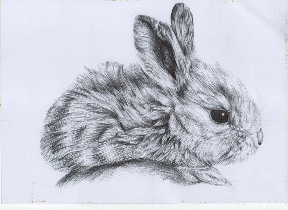 Аниме кролик
