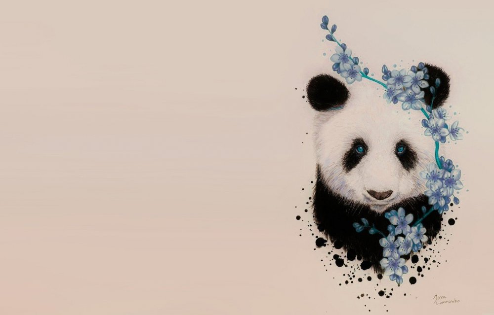 Панда красивые арты
